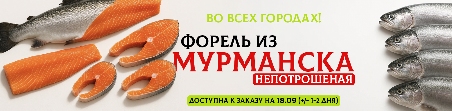 Мурманск НП 18.08