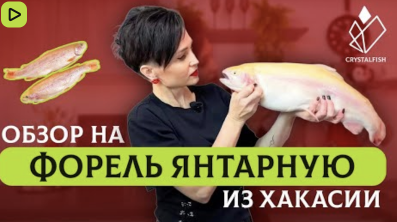 Обзор на форель янтарную из Хакасии