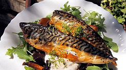 Скумбрия с/м