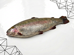 Форель НП Хакасия