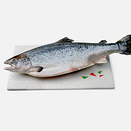 Лосось Чили 3-4 кг с/м